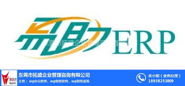 ERP系統(tǒng)開(kāi)發(fā)與拓盛軟件技術(shù)轉(zhuǎn)讓 以易助ERP系統(tǒng)為例