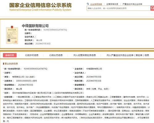 中烽國(guó)聯(lián)公司軟件技術(shù)轉(zhuǎn)讓概述與流程解析